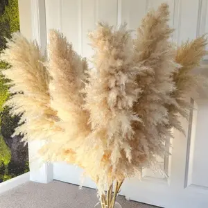 Dried natural pampas grass decor for wedding, birthday boho decoration (3 stems)