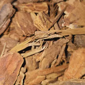 Jezebel Root for Attraction - 1 oz Sacred Hoodoo & Rootwork Tradition Feminine Energy Manifestation Wealth Influence Love Connections