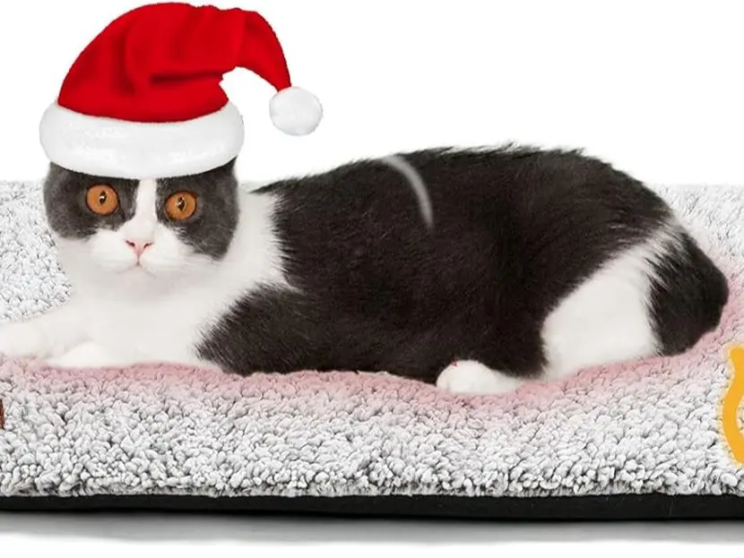 Self Warming Cat Bed Self Heating Cat Dog Mat 24 x 18 inch Extra Warm Thermal Pet Pad for Indoor Outdoor Pets with Removable Cover Non-Slip Bottom Washable Non Electric