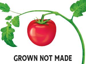 Heinz Tomato Ketchup 14 oz Bottle – Classic Original Ketchup, Rich Thick Flavor, Gluten-Free, Perfect for Burgers, Fries & Everyday Condiments