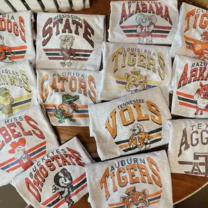 Custom Your Team, Vintage College Mascot Tshirt - Ash Grey Color, Retro NCAA Style Graphic Tee, University Sports Shirt, Unisex Cotton Top, Classic Campus Streetwear - PTS