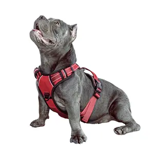 SatSun Easyhold Dog Training Harness For Medium-Sized Dogs
