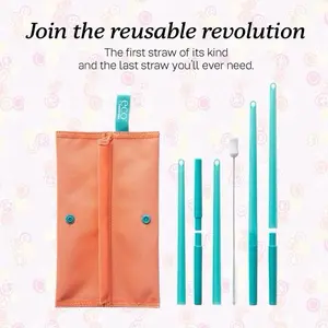 Reusable straws Set