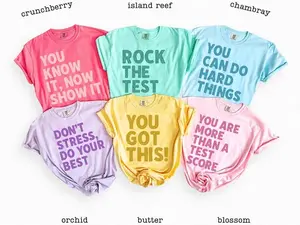 Custom Test Day Shirt Comfort Colors, You Know It Now Show It, Matching State Testing Shirts, Teacher Team T-Shirts, Gen Z School Testing Day Tee, Testing Coordinator Shirt