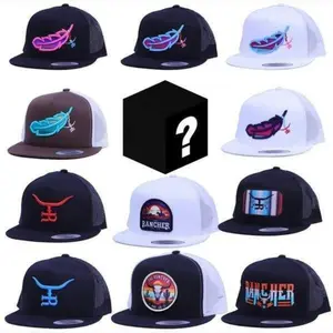 [HOT SUMMER DEALS] One Hat Box Sent, Embroidered Hat Feather Rancher Hat, Outdoor Cap Gift Box for Men & Women