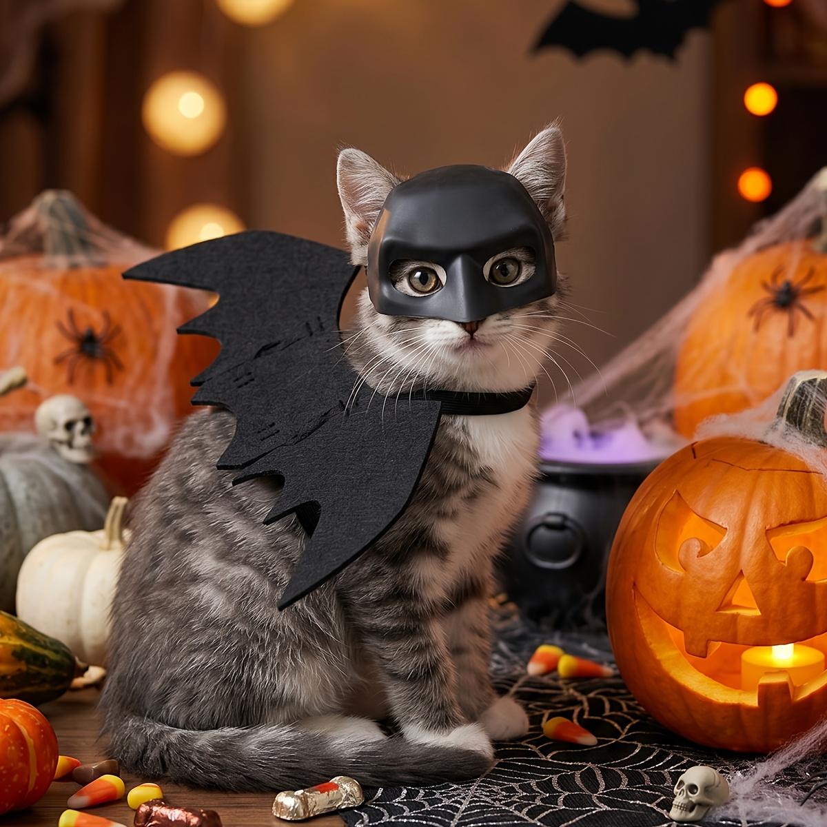 2-Pack Halloween Pet Bat Wings & Mask Set, Black Bat Costume for Cats & Small Dogs, Party Cosplay Outfit, Cute Dress-Up Accessory for Halloween Parties, Christmas and Pet Holiday Decor Chest Harness Handmade Bat-Hat Ghost