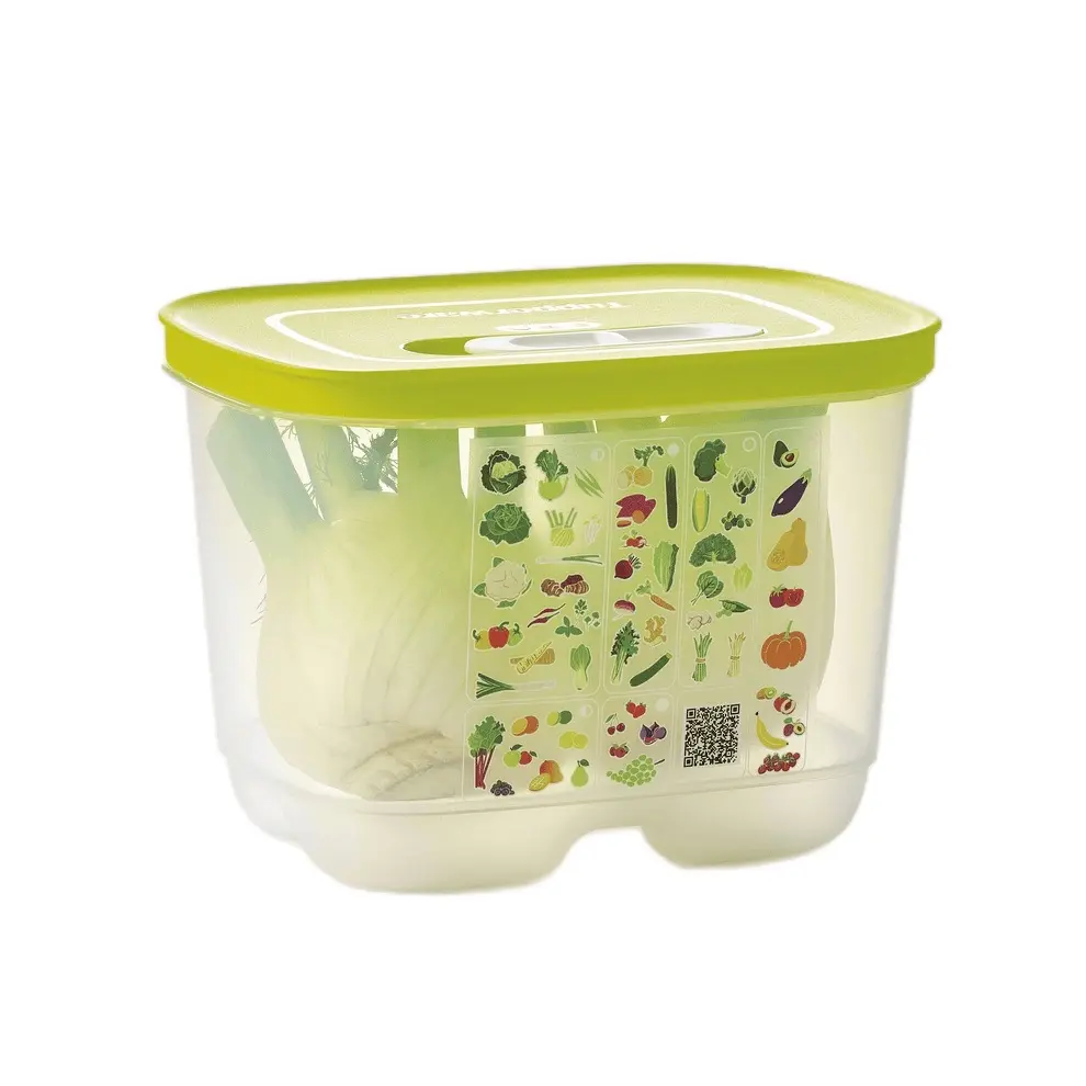 FridgeSmart Medium Deep for Produce Storage Container - Lasts 2-3x Longer