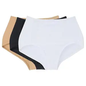 Rhonda Shear 3-pack Mesh Insert Brief