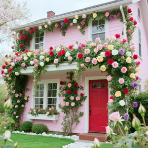 【PetalPit】200 Pcs Rare Rose Flower Seeds, Suitable for Small Gardens, Patios, Balconies & Indoor Cultivation, Low-Maintenance Outdoor Ornamental Flowers, Top Choice for Horticulture