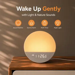 Dreamegg Sunrise Alarm Clock & Sound Machine | Wake Up Light, White Noise Machine & Night Light