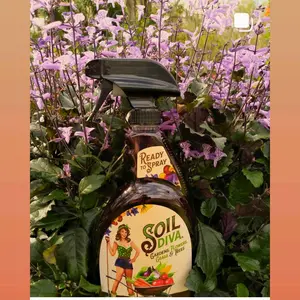 Soil Diva 32oz Ready-to-Spray