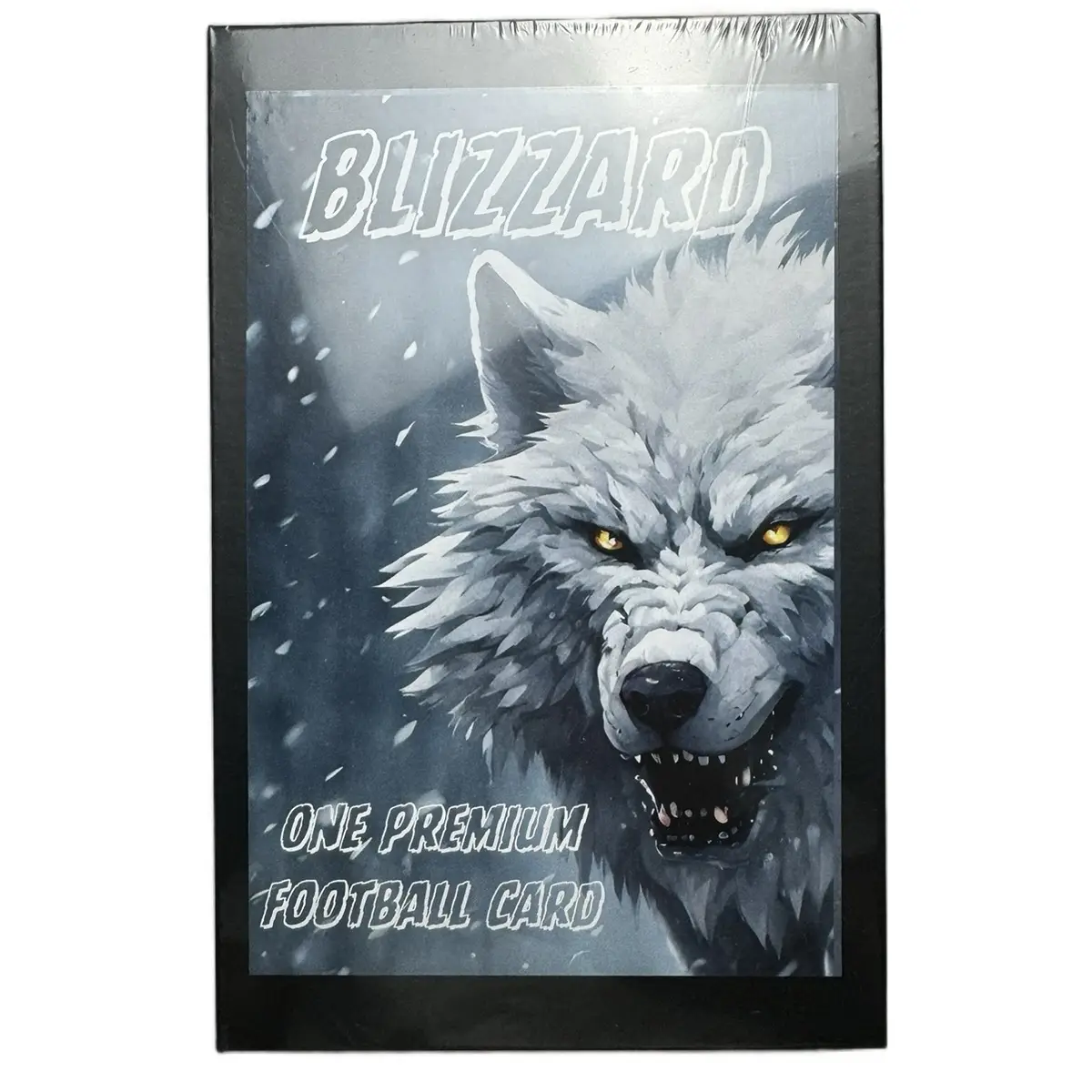 Project Enigma Box (Blizzard Version) Keep or Pass