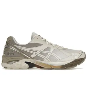 ASICS Men's GT-2160 DIME Arctic Wolf, from StockX