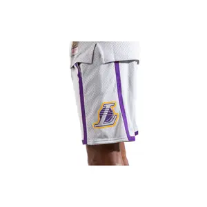 Reload 2.0 Swingman Shorts "NBA LA Lakers 2009" SMSH3435 LAL09PPPGREY