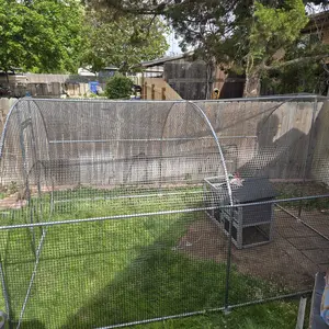 review image 5