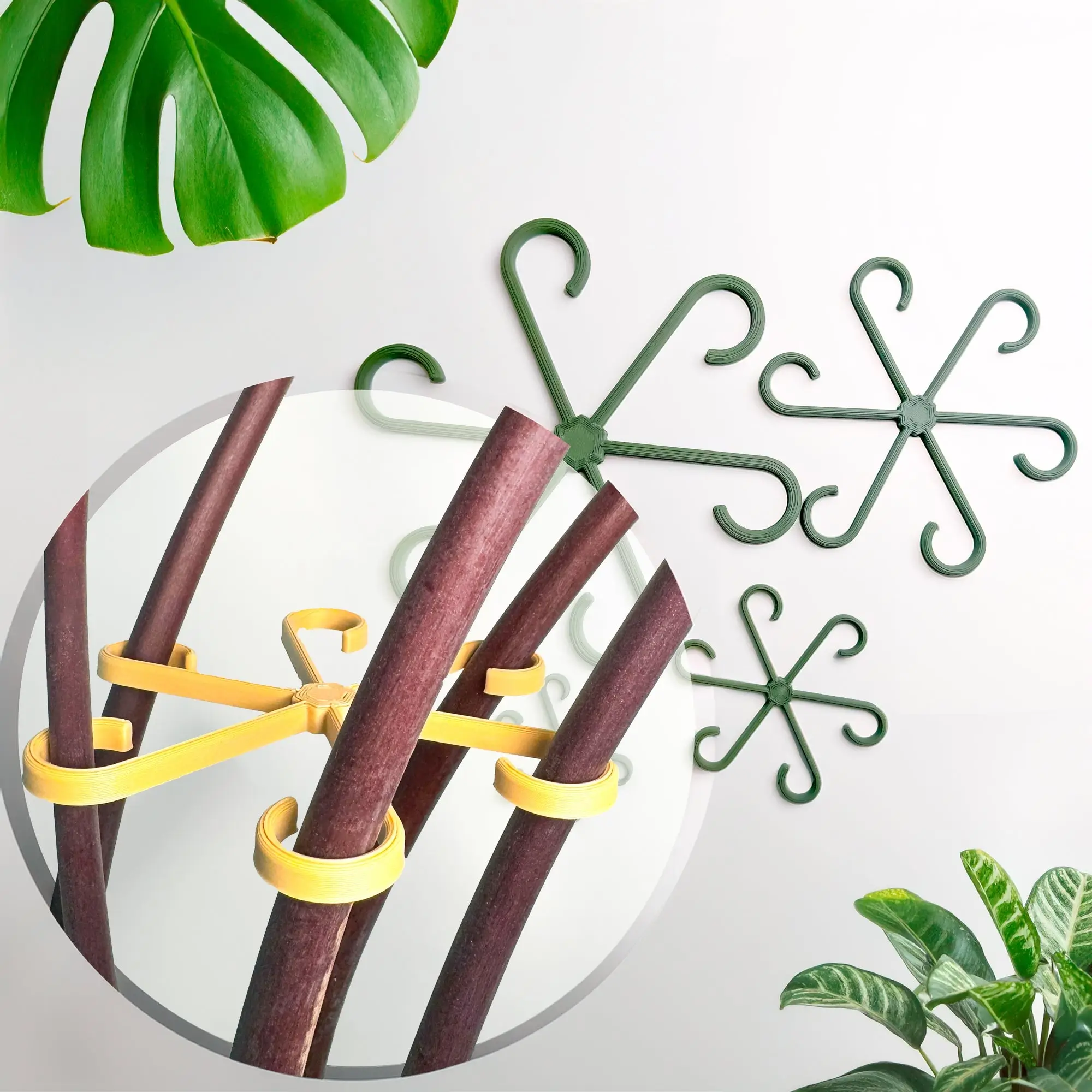 Plant Stem Supports for Supporting Plant Growth