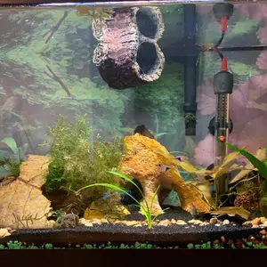 Wood work premade starter fish tank