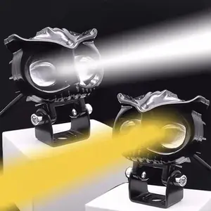 Tier's Haven 2 PCS LED Owl-Shaped Accent Lights, Dual Color, Hard-Wired Neon, Universal Fit, 9-36V Operating Voltage, Efficient Heat Dissipation, with No Battery Required for Motor Vehicles