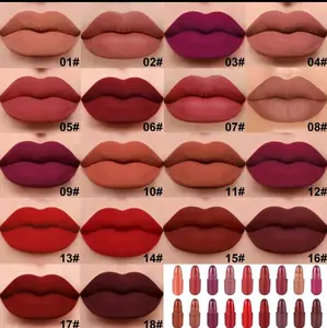 18 pcs Matte Lipstick Set for Women - Long-Lasting