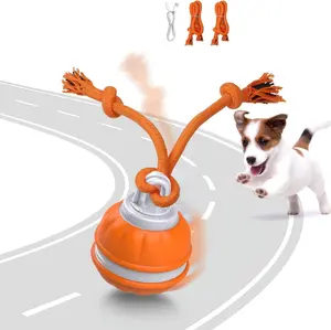 Smart Rolling Ball, Touch Activated Squeaky Companion, USB Rechargeable, Perfect Festival & Gathering Gift for Household Puppy