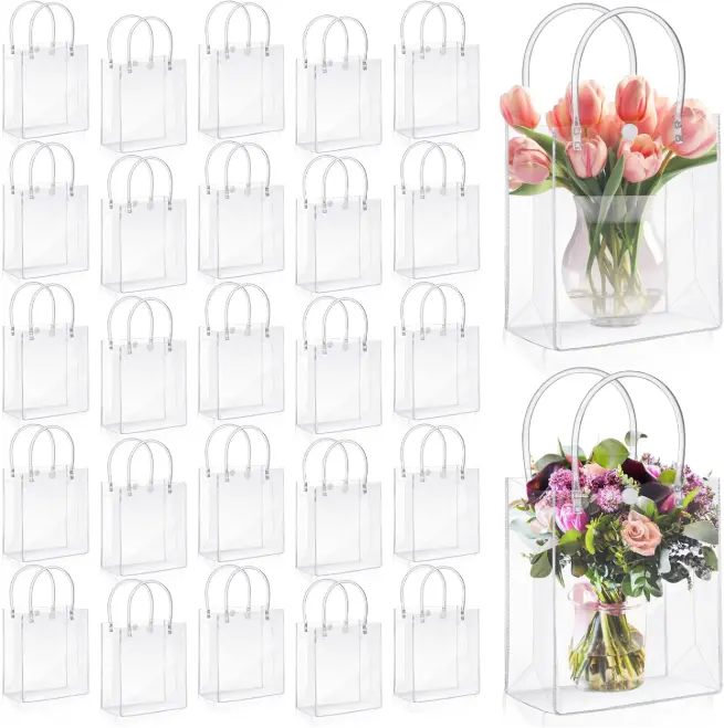 Pack of 50 Clear Plastic Gift Bags with Handles, 5.1 x 5.9 x 2.7 Inches Reusable Transparent Totes Bags for Party Favors, Weddings, Birthdays