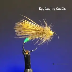 Black Fly 2-Pack (Egg Laying Caddis) Dry Fly. Dry Flies For Trout, Fly Fishing Improved CDC Elk Hair Caddis, Perfect for Dry Dropper during Caddis Hatch, Tenkara or Dead Drifting, Caddis Pattern Fly for Trout, Panfish, Grayling by Black Fly Creations