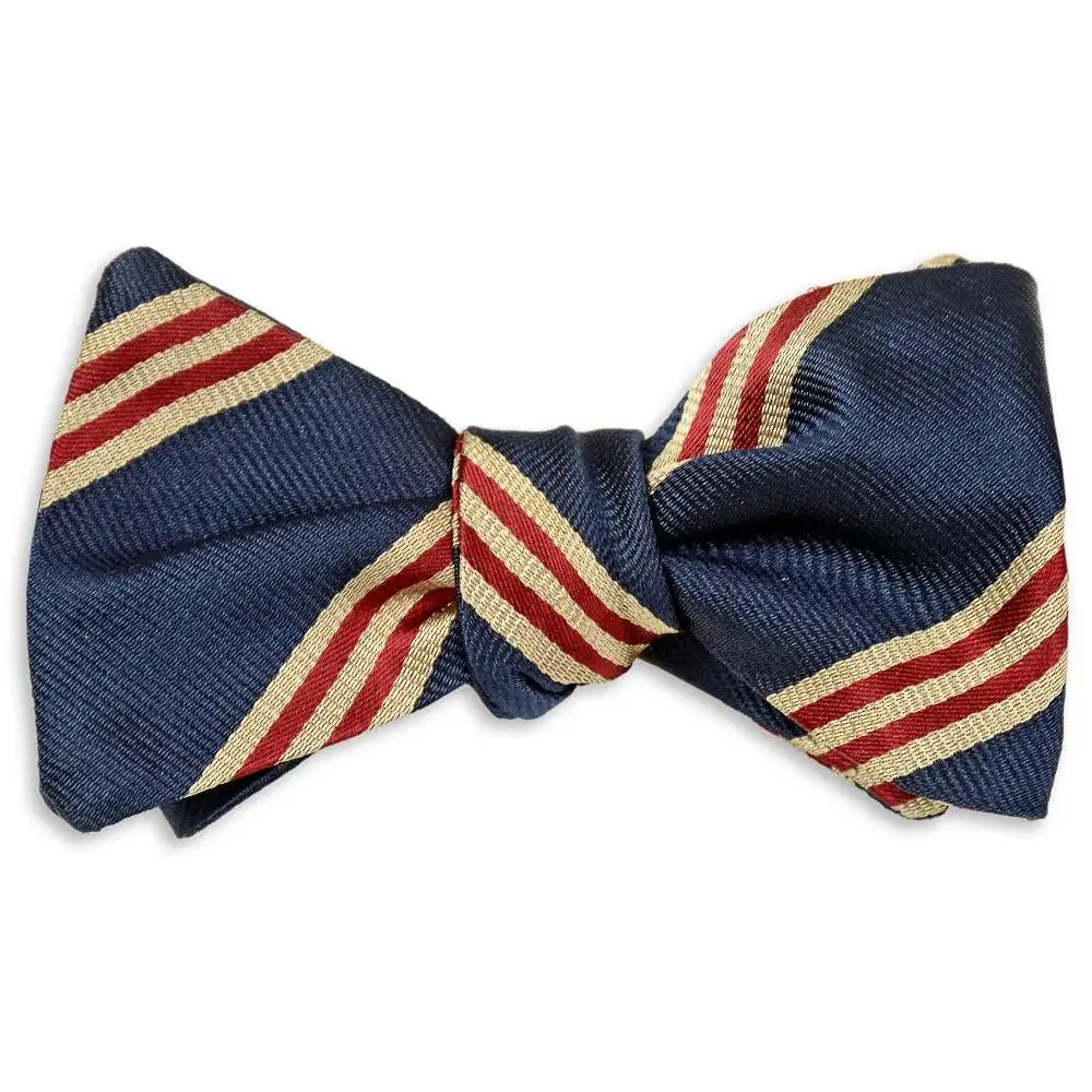Cambridge Stripe Navy & Gold Bow Tie