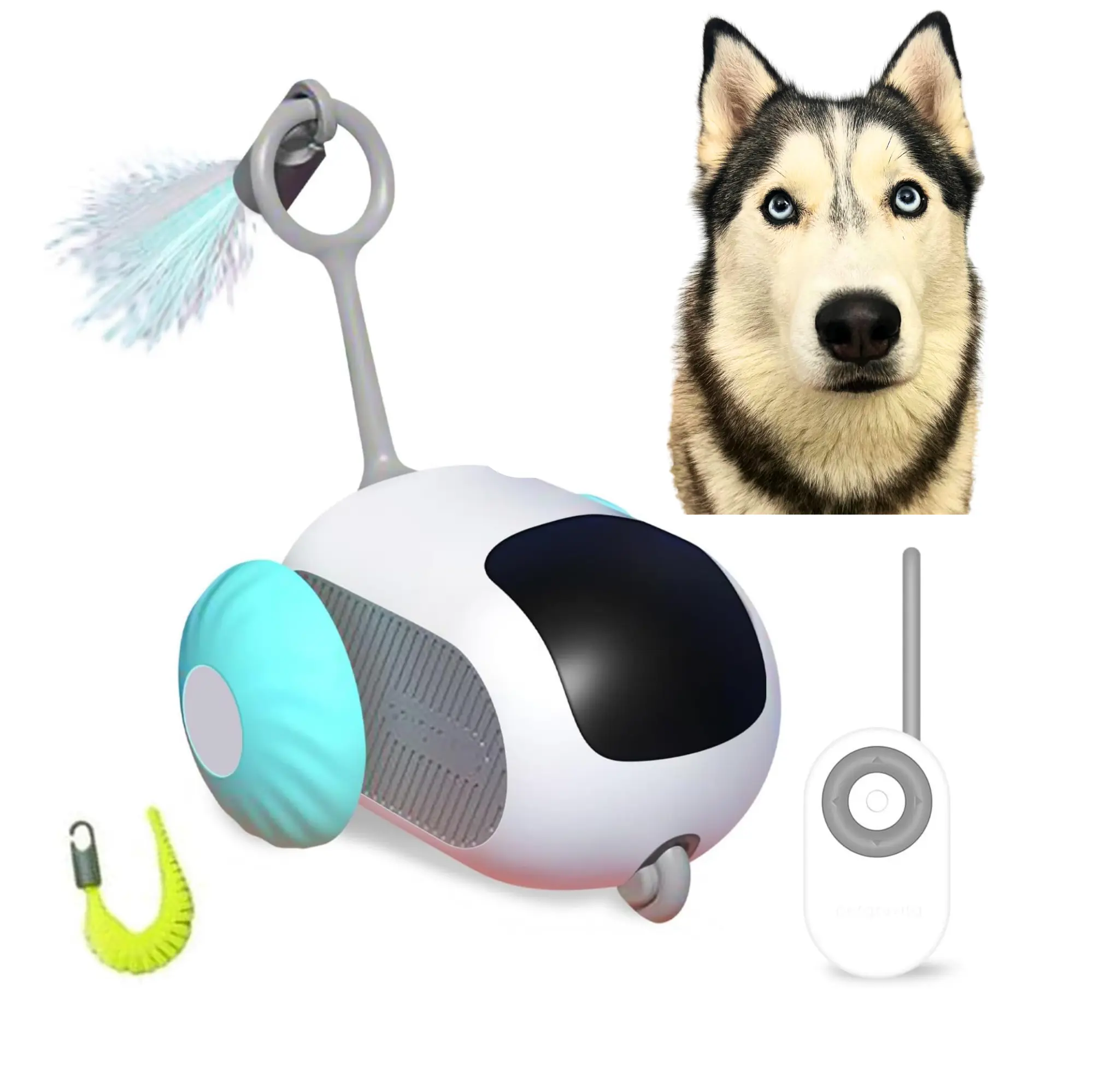 Dog Toys for Indoor dogs and Cats, Smart Interactive dog Toy with 2-Speed Adjustment, Remote Control & USB Rechargeable Automatic dog Exercise Toy