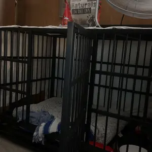 Walsunny 37/47 inch Heavy Duty Steel Dog Crate for Large Dogs with Lockable Wheels and Double Door Design, Escape Proof, Indestructible, Black