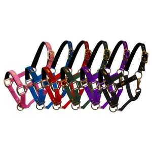 Nylon Pony Halter with Gold Horse Emblem on Noseband Nylon Pony Halter with Gold Horse Emblem on Noseband