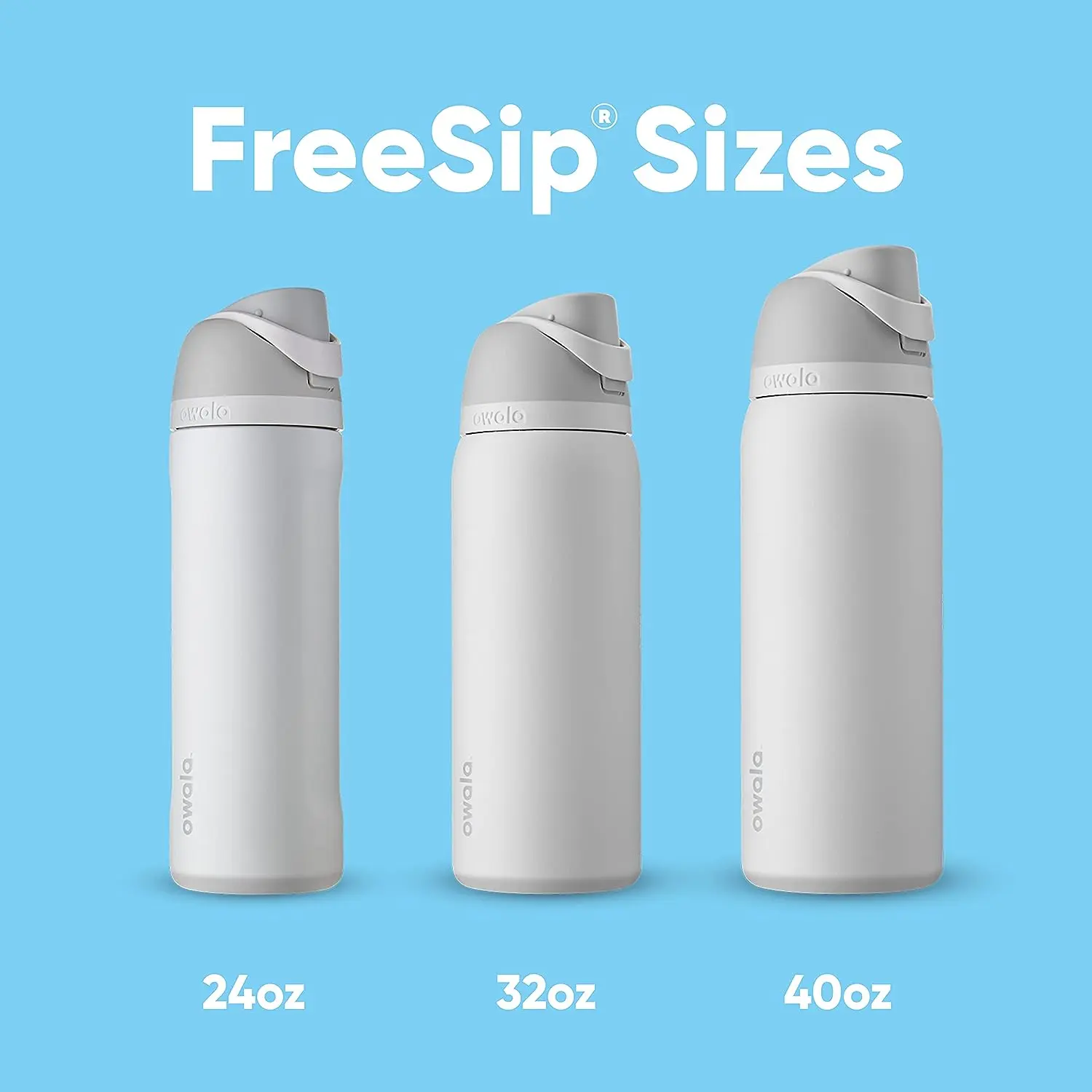 FreeSip Insulated Stainless Steel Water Bottle with Straw for Sports, Travel, and School BPA-Free Sports Water Bottle Drinkware Flasks