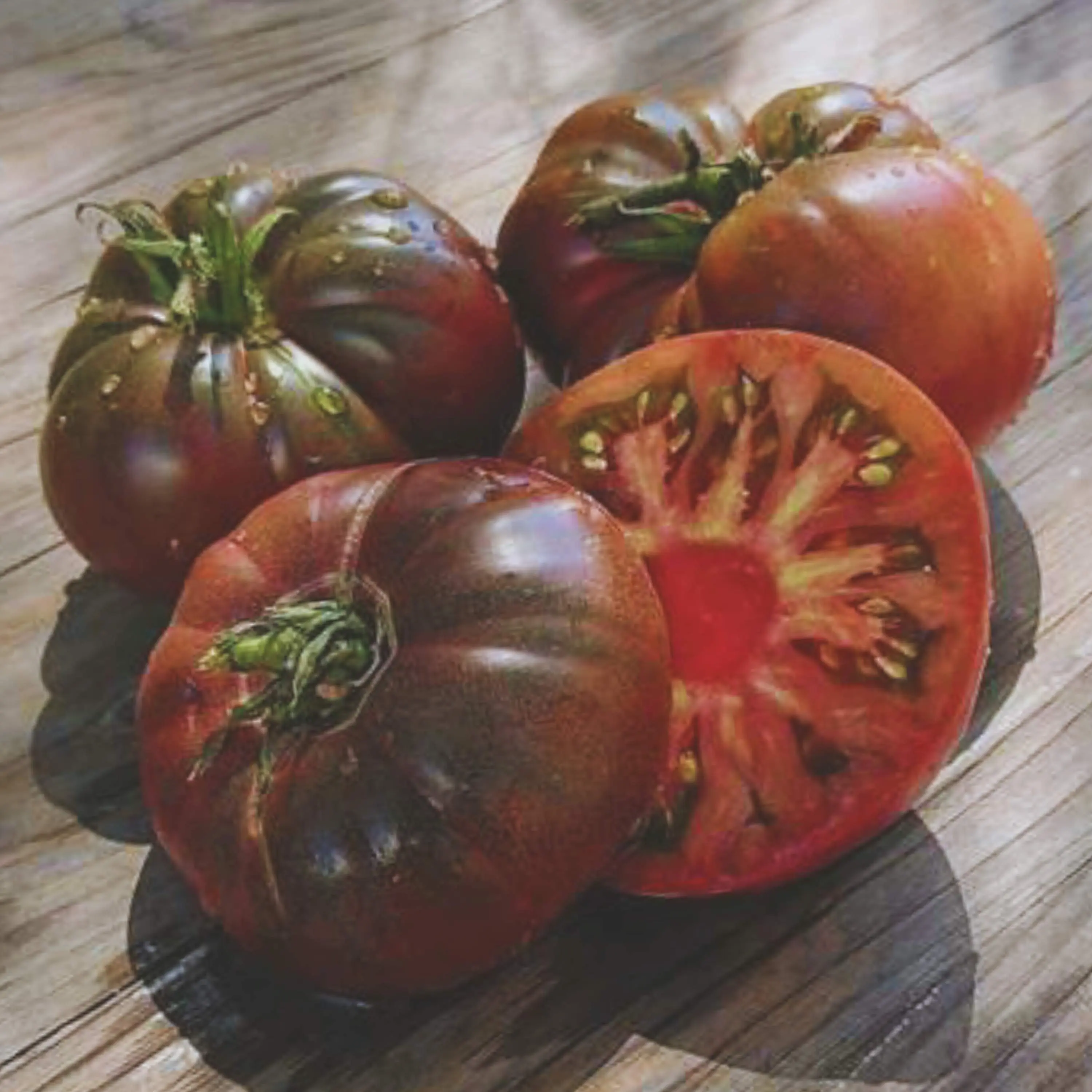 Heirloom Black Brandywine Tomato Seeds - Sustainable and Regenerative Organic Gardening Seeds