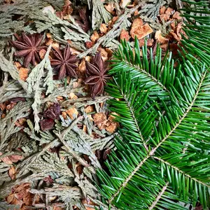 Winter Solstice Magic Simmer Pot- Holiday Scent Potpourri- Christmas Tree-  Fraser Fir, Orange, Cedar, Star Anise- Christmas Scent- Yule