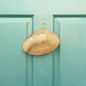 Clam Door Knocker by Michael Healy - Solid Brass, Handcrafted, Easy Install
