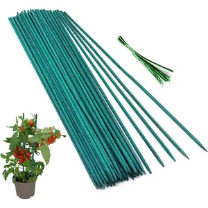 50 count  Sticks Green  Stakes,  Support Garden Stakes for Indoor and Outdoor ,  Sturdy Garden   Sticks, Floral  Stakes for Garden Potted (15 Inches)