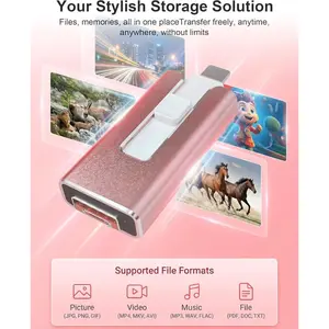 4-In-1 Phone USB Flash Drive 256GB USB Storage, Stable Chip, Compatible with iPhone/iPad/android/PC, Photo Document Backup