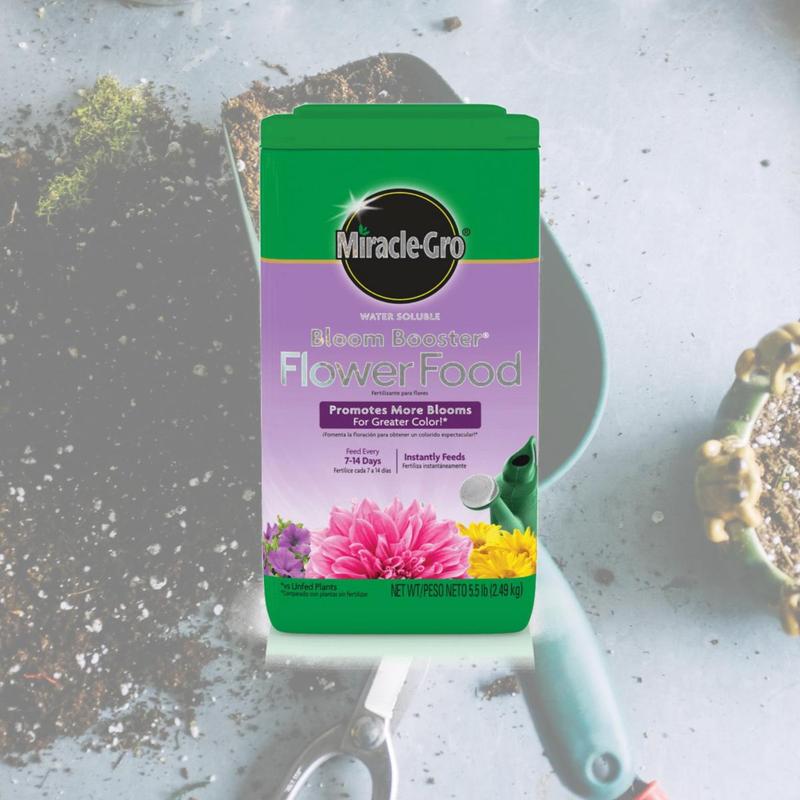 Miracle-Gro  5.5 lbs Bloom Booster Powder Plant Food, Pack of 6