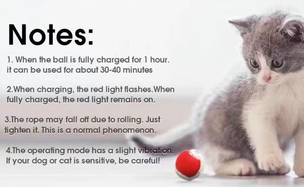 USB Rechargeable Interactive Cat Toy Ball, 1 Count Automatic Pet Exercise Toy, Motion Activate Electric Cat Toy, Pet Supplies for Indoor Outdoor Use, Valentine's Day Gift