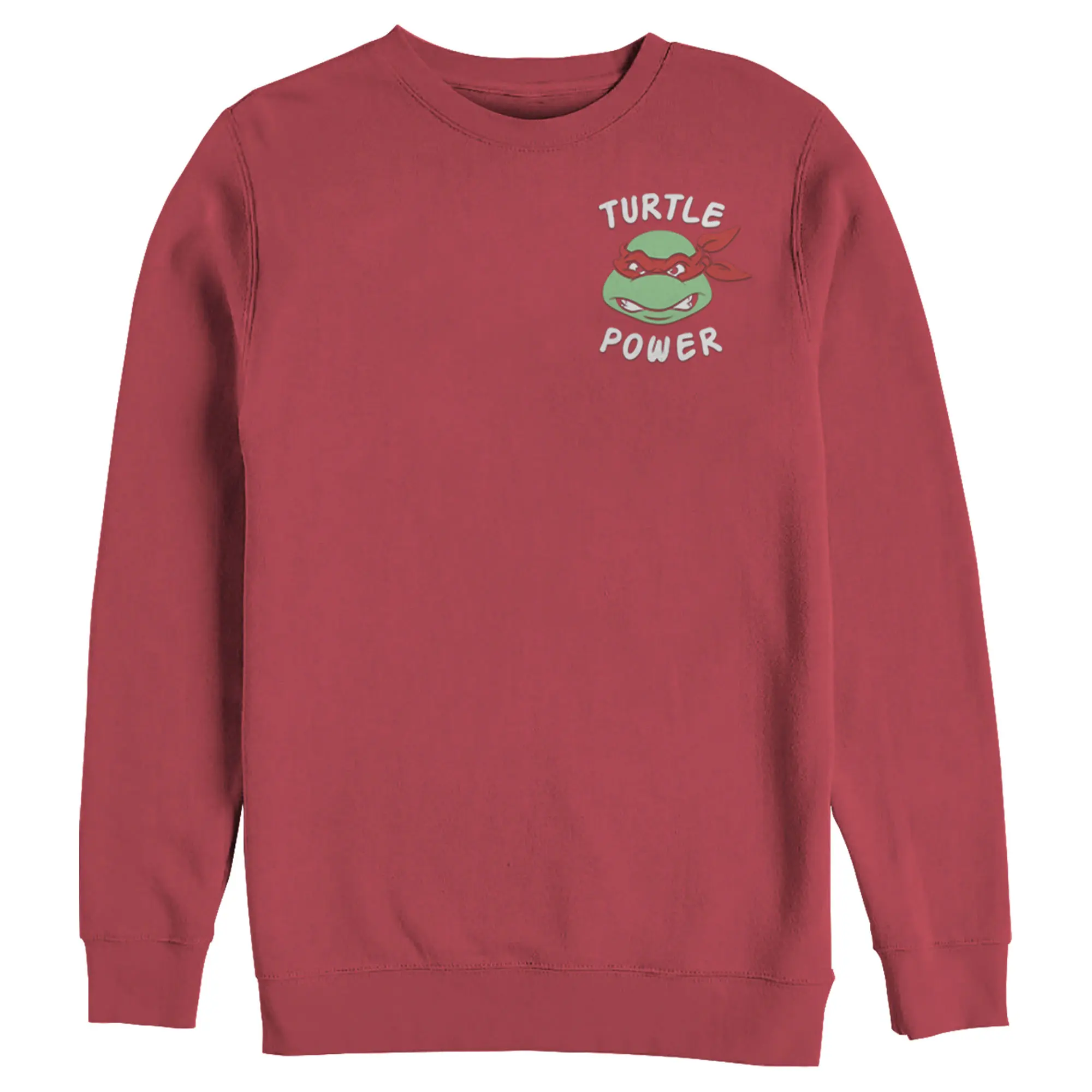 Men's Teenage Mutant Ninja Turtles Raphael Turtle Power Sweatshirt