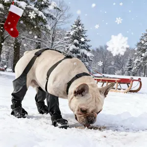 Anti-Dirt Rain Dog Shoes Soft Sole Pet Supplies for Outdoor Walking French Bulldog Paws Protection Boots Shoes for pets