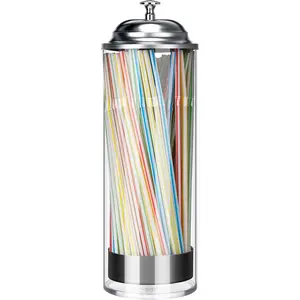Straw Holder Dispenser Clear Glass Drinking Straw Container with Lid for Counter (Silver) BIGINIWA