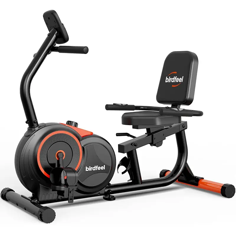 Recumbent Exercise Bike for Home,Recumbent Stationary Bikes for Adults & Seniors,Equipped with 16 Adjustable Gears and Soft Adjustable Seats