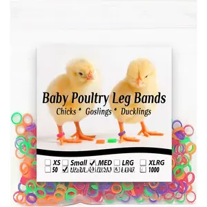 Poultry  Bands 1/4" Medium Chick (100)