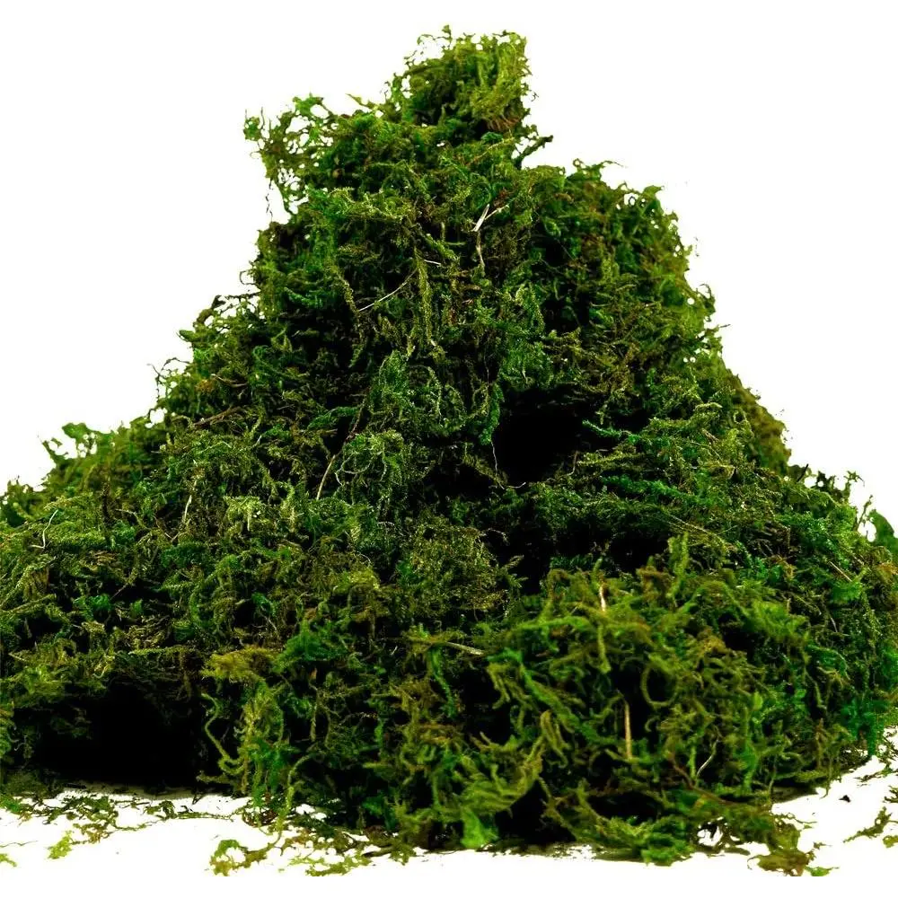 Moss for Crafts, Artificial Green Moss for Potted  Centerpieces Decor (3.5OZ)