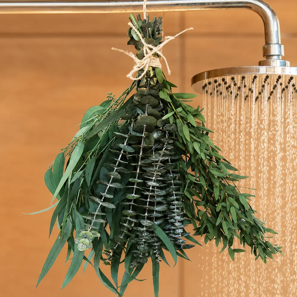 12 Pcs Scented Preserved Dried Eucalyptus Stems (17in, 3 Kinds) - Decorative Floral Ornaments for Shower Hanging, Vase Display, Bathroom Wall Decor