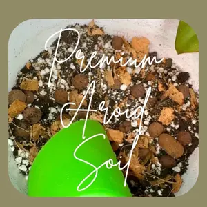 Premium, Nutrient-Rich, Chunky, Aroid Potting Soil Mix | Alocasia Soil | Philodendron Soil | Anthurium Soil | Monstera Soil | Pothos Soil