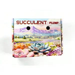 Sprout & Sun 15 Succulent Plants Set Live Succulents for Newbies Gardening Enthusiasts DIY Projects Wedding Gifts Fresh Delivery Guarantee