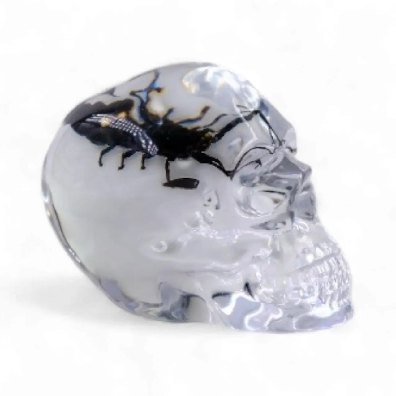 Real Black Scorpion in Clear Resin Skull (Large) – Unique Nature Resin Art, Entomology Collectible & Home Decor Ornament, Halloween Gift Spooky Sculpture, Scorpio cool Gift Decoration perfect holiday gift idea desk decor ornament
