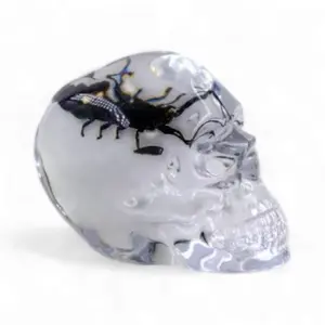 Real Black Scorpion in Clear Resin Skull (Large) – Unique Nature Resin Art, Entomology Collectible & Home Decor Ornament, Halloween Gift Spooky Sculpture, Scorpio cool Gift Decoration perfect holiday gift idea desk decor ornament