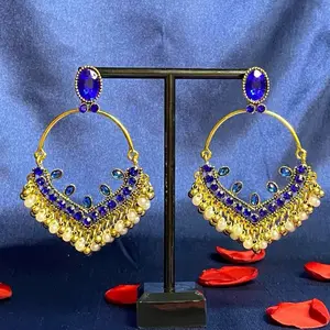 Elegant Hoop Earrings